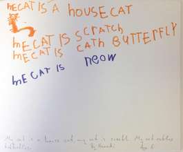 Hanadi's cat