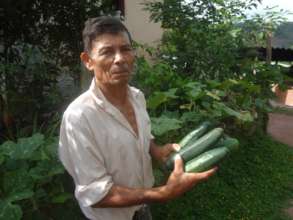 Cucumber harvest, Mirasol, Honduras.