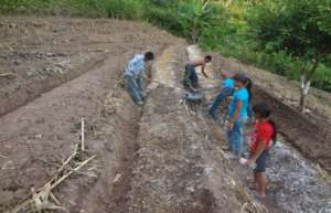 The whole family gets involved preparing gardens.