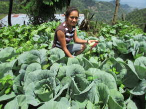 Healthy vegetables on hillsides in Otoro.