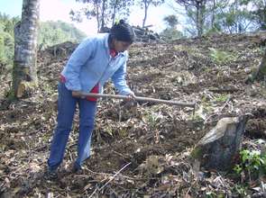 Preparing the soil