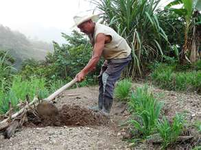 Honduran farmer Tomas prepares soil for planting.