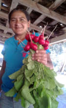 Woman with Radishes, near Santa Rita