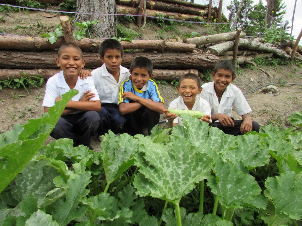 Seeds to Grow 100 Tons of Needed Food in Honduras