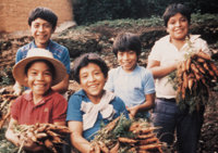 Seeds to Grow 100 Tons of Needed Food in Honduras
