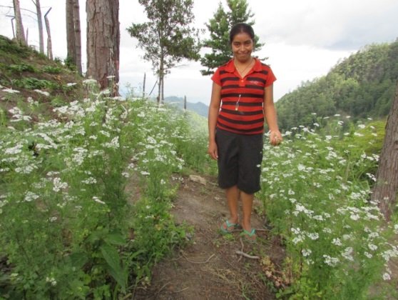 Seeds to Grow 100 Tons of Needed Food in Honduras