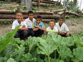 Honduran kids love vegetable gardens.