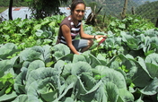 Seeds to Grow 100 Tons of Needed Food in Honduras