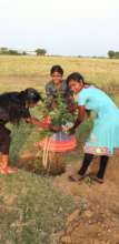 Children water to plants