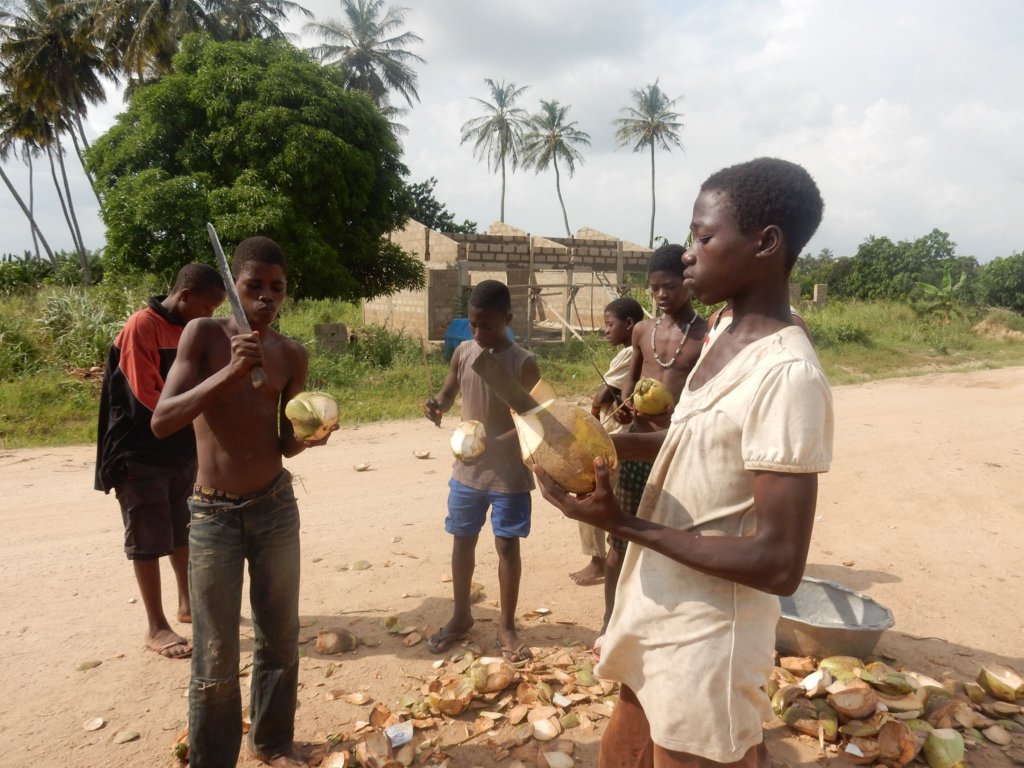 Children selling coconuts for a living