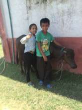 The boys and the baby buffalo