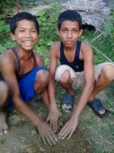 Planting new fruit trees