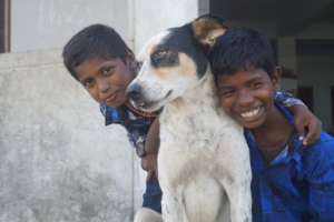 Our animals loving boys!