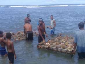 Young people setting up coral nursery beds