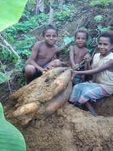 Children help to harvest watur in Tangu.jpg