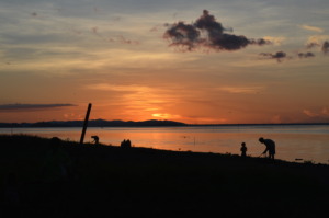 Sunset at Chambri Lakes (Sepik River)