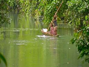 Travelling to the gardens