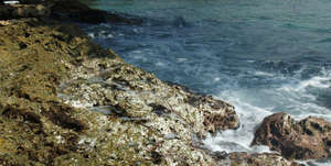 Bleached coral surrounding Basamuk villages