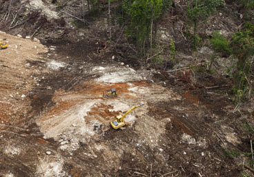Land is Life - Land Justice for Papua New Guinea