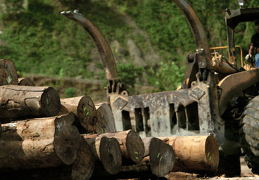 Land is Life - Land Justice for Papua New Guinea