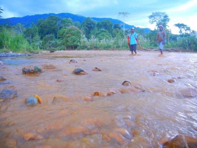 Land is Life - Land Justice for Papua New Guinea