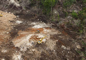 Logging site