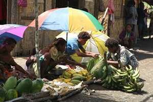 Livelihoods