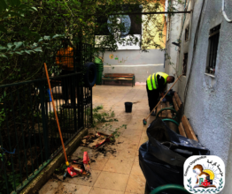 Spring Season clean up !