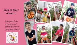 From our rooftop greenhouses project