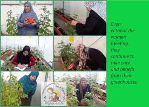 From our rooftops in Deheishe,Aida,Azza and Arroub