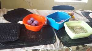 Products the youth used during their workshop