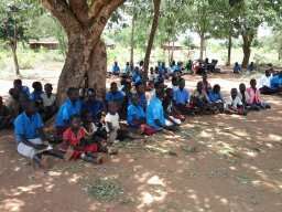 Assembly under the tree