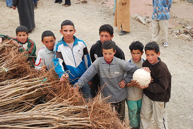 HAF Plants its 1 Millionth Tree!