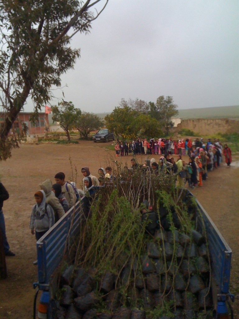 HAF Plants its 1 Millionth Tree!