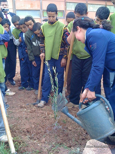 HAF Plants its 1 Millionth Tree!