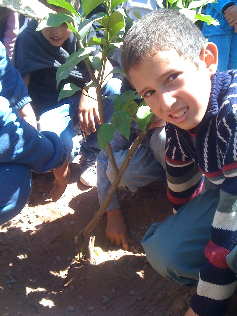 HAF Plants its 1 Millionth Tree!