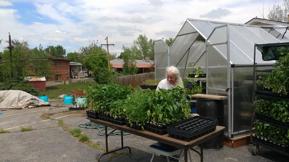 Greenhouse