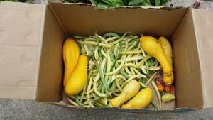 More Donated Produce