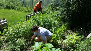 Volunteers Helping In a Jovial Garden