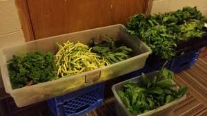 Donated Produce