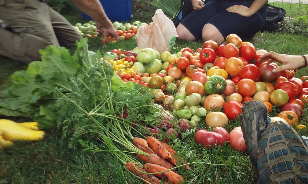 Fresh Produce For All