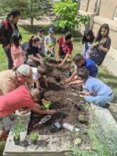 Youth Garden Workshops