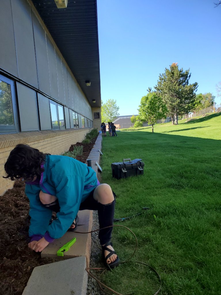 Ava, Vista Volunteer irrigating Edgewater Elem