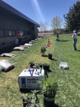 Edgewater Elementary Pollinlator Bed Install Day
