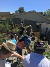 Gardening with community