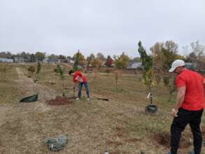 Planting more fruit trees