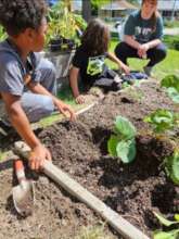 youth gardening workshop