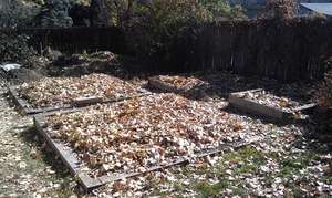 Covered Garden
