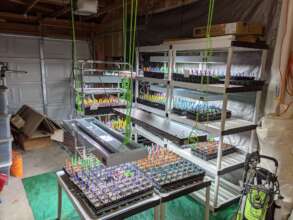 Seed Starting Garage 2024!