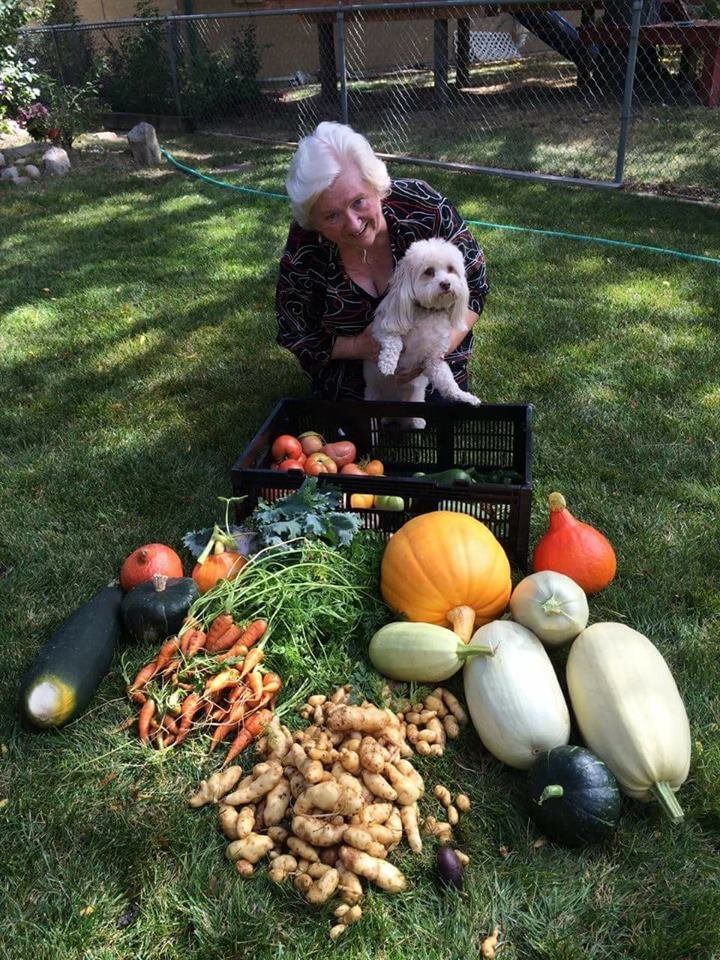 Fall Arvada Harvest 2016